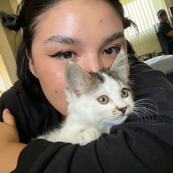 Meet your Posher, Jissel - Picture 1 of 1